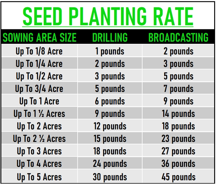 Big Bulbs seed rate planting chart